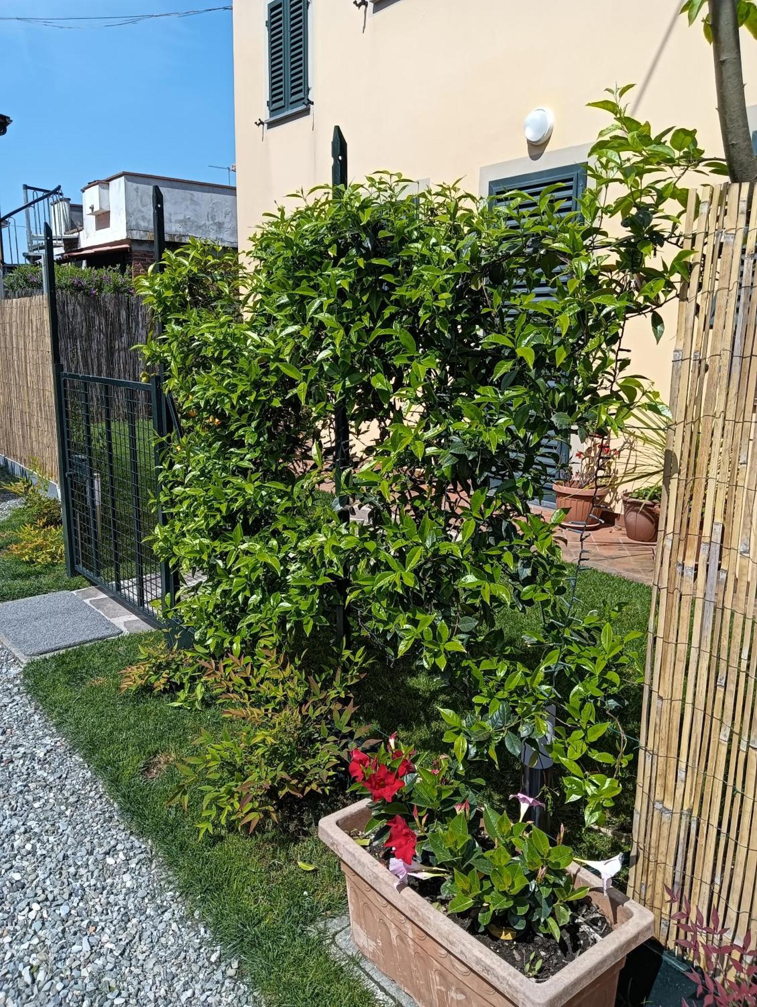 Casa Vacanze Rustico Di Corte Capannori Bagian luar foto
